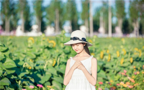 茄子丝瓜香蕉草莓荔枝老司机破解版