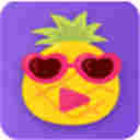 大菠萝app下载汅api免费大全
