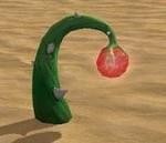 龙蜒草